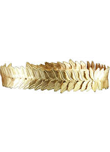 Gold Caesar Circlet For All