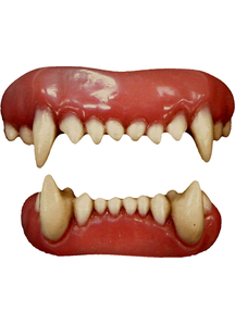 Animal Teeth
