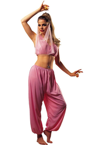 Arabian Princess Costume For Adults