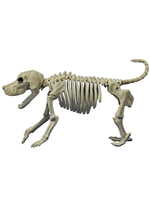 Beagle Bonez Props