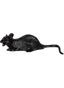 Bump And Go Rat