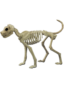 Buster Bones Props
