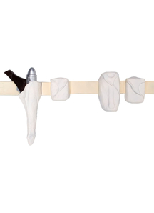 Padme Amidala Blaster And Holster