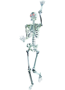 Skeleton Light Up Prop