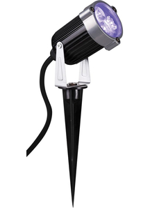 Spot Light Black Light