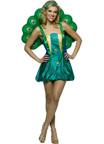 Beautiful Peacock Adult Costume