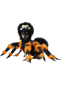 Pet Spider Costume