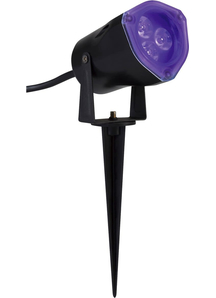Blacklight Spotlight Display