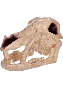Skeleton Boar Head