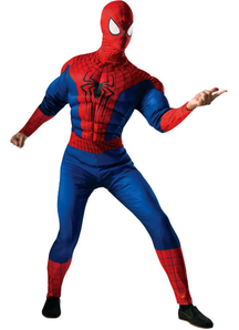 Spiderman Adult Costume