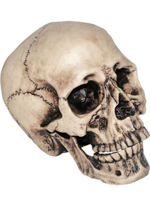 Vinyl Skull 7 inches