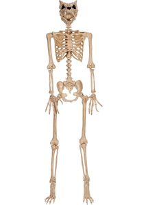 Werewolf Skeleton