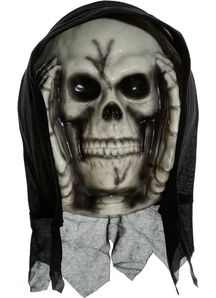Window Creeper Skull