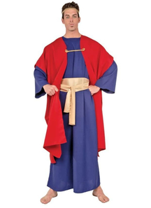 Wiseman I Adult Costume