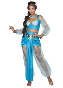 Arabian Princess Adult Costume