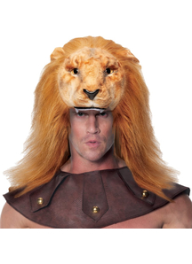 Animals Head Lion Adult