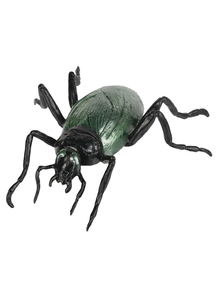 Cockroach 7 inches