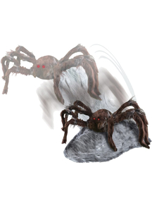 Jumping Spider Brown