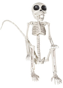 Monkey Skeleton - Halloween Props