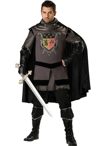 Brave Knight Adult Costume