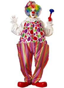 Multicolor Clown Adult Costume