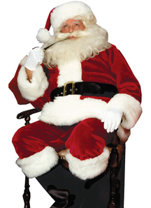 Santa King Adult Costume