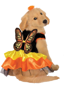 Butterfly Pet Costume for girl dogs