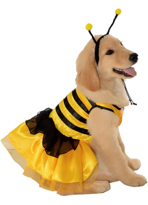 Cute Bee Pet Costume