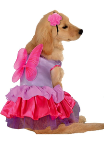 Fairy Pet Costume