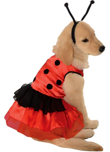 Ladybug Pet Costume