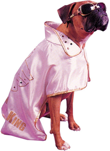Rock Star Pet Costume