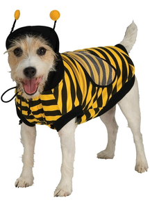 Sweet Bee Pet Costume