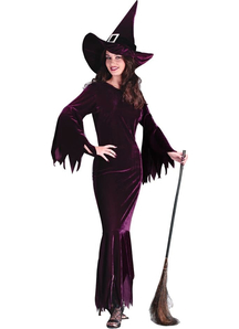 Burgundy Witch Adult Costume