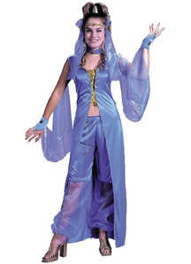 Cute Genie Women Costume