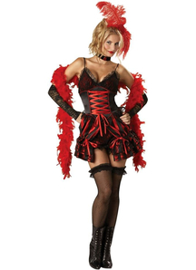 Dancing Queen Adult Costume