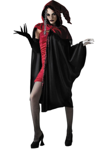 Dark Lady Adult Costume