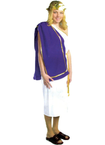 Grecian Toga Adult