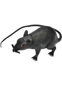 5 Inch Rat