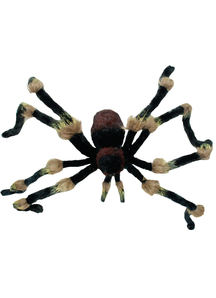 62 In Hairy Spider