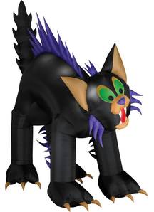 Airblown Black Cat.