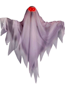 Animated Ghost With Light Up Eyes