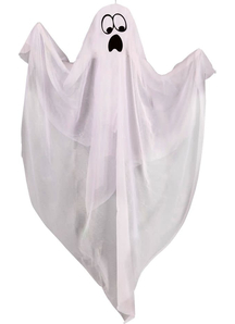 Animated Ghost With Light Up Face