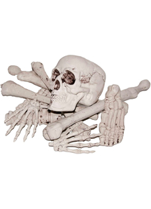 Bag Of Bones - 13761