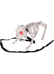 Barking Dog Skeleton