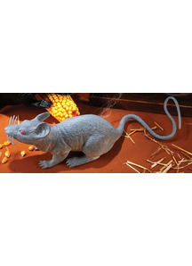 Big Grey Rat
