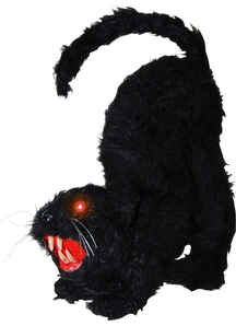 Black Cat With Lights And Sound