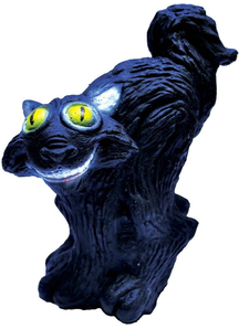 Black Cat