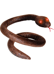 Brown Snake With Shining Eyes