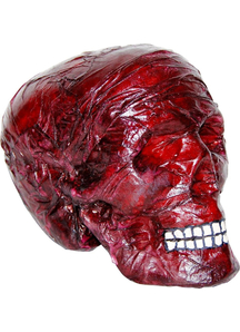 Burnt Skull