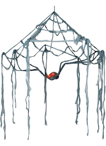 Canopy Web With Light Eyes. Webs And Cloth.